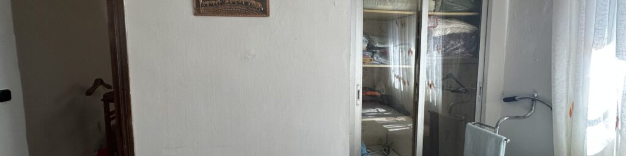 IMG_3929 IMG_3929